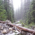Rugged Rocky Mountain Terrain