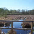Obstacle in Blackfoot Recreation Area