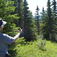 Wilderness Compass Use