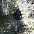 Mountain Trail