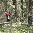 Safe Navigation in Rough Terrain