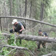 Wilderness Navigation in Rough Terrain