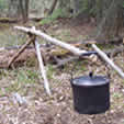 Australian Crane
