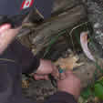 Lighting a Fire with a Stiker on Summer Survival Core Field Session