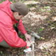 Preparing Birch Bark Tinder