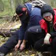 Knife Sharpening
