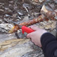 Notching a Sapling