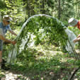 Shelter Building