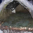 Properly Built Bow Bed