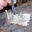 Birch Bark Tinder