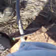 Survival Tool Building