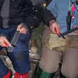 Learning to properly sharpen Knives
