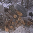 Wood Pile to Survive a Cold Winter Night
