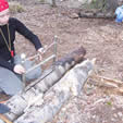 Building a Survival Saw