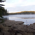 Boreal Forest Sunrise