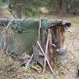 Fallen Tree Shelter