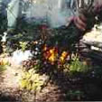 Lighting a Twig Bundle