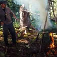 Signal Fire