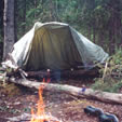 Shelter Building with Insects in mind