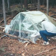 Shelter Building