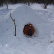 Building a Quinzee
