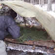 Building a Bow Bed