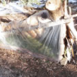 Building a Survival Lean-to