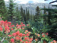 Rocky Mountain Hiking