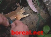 Starting a Fire with a Striker