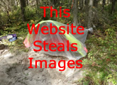 Building a Survival Shelter