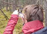 Following a Compass Bearing
