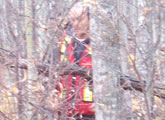 Following a Compass Bearing