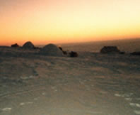 The Arctic a harsh survival enviroment