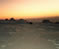 The Arctic a harsh survival enviroment
