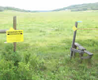 Trail Signage and Style