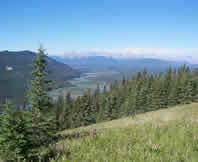 Nordegg, a multi-use forest area