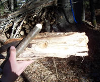 A Drill made of a Nail and Wood