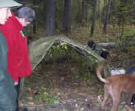 SAR Wilderness Survival Training