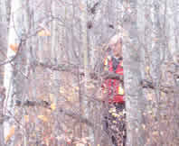 Rough Wilderness Terrain, You need Survival Instruction