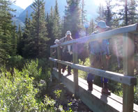 Crossing a Mountain Bridge