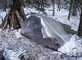 Shelter Building in Winter
