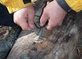 Using a Striker to Light a Fire