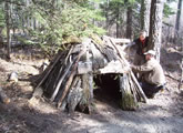 Building a Sapling Shelter