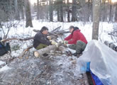 Sawing Wood