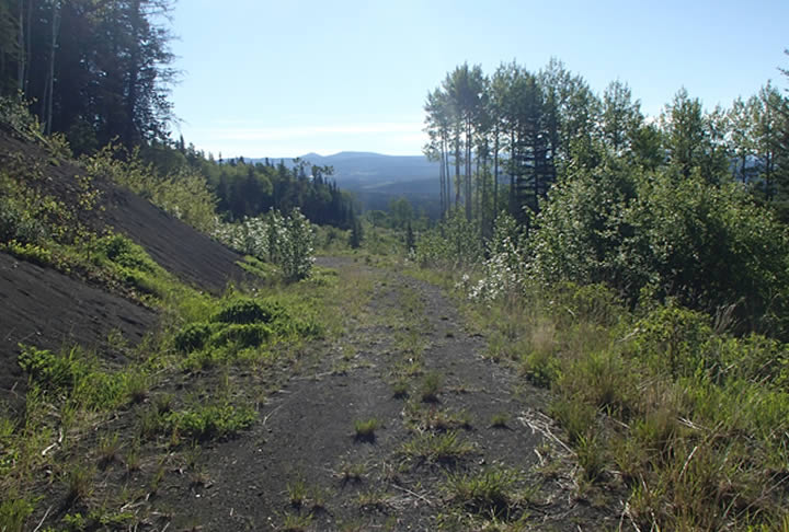 The Sad Tale Of Christopher McCandless - The Man From Into The Wild