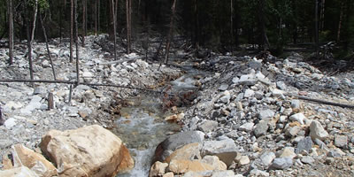 Flood Damage due to Heavy Rain