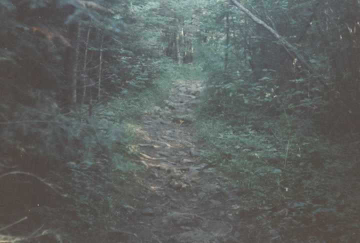 Portage Trail in the Border Waterways