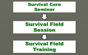 BWI's Survival Certificate BWI's Survival Certificate