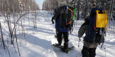 Group Traveling in the Boreal Forest using Improvised Snowshoes