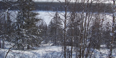 Heavy Snow in a Winter Forested Hillside